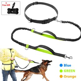 Carrier Retractable Hands Free Dog Leash for Running Dual Handle Bungee Leash Reflective For Up to 150 lbs Large Dogs Free Bag Dispenser