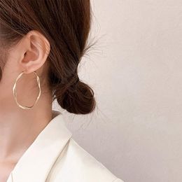 Hoop Earrings Sell Trendy Twist Round Circle 925 Silver Needle Ladies Original Jewelry For Women Anti Allergy Birthday Gifts