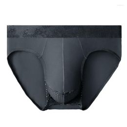 Underpants Scrotal Underwear Mens Briefs Modal Thin Shorts Ice Silk Breathable Mesh Sexy