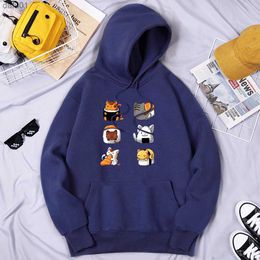 Various Types Of Cat Sushi Men Tracksuit Outdoor Hip Hop Streetwear Breathable S-Xxl Clothing Comfortable Graphics Men Hoodies L230520