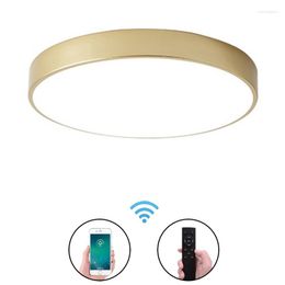 Ceiling Lights Ultra-thin 5cm Surface Mount Flush Panel Light Modern Gold Round LED Lamp Remote Control Foyer Bedroom