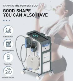 5600 watts EMS Therapy slimming Vertical 4 Handles Emslim Neo High Intensity Focused fat reduce Electromagnetic build muscle Body Sculpting Machine With RF