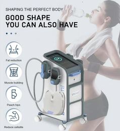 SPA use EMS Therapy slimming Vertical 4 Handles Emslim Neo High Intensity Focused fat reduce Electromagnetic build muscle Body Sculpting Machine With RF