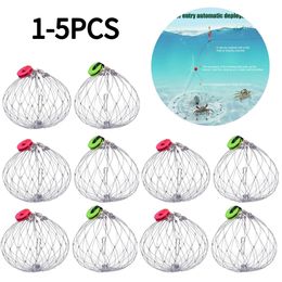 Fishing Accessories Wire Fish Crab Cage Automatic Open Closing Traps Collapsible for Saltwater Seawater Outdoor 230608