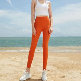 Active Pants Yoga Leggings Comfort Dance Training Women 2023 Fitness Gym Legging Sports Tights Pilates Clothes Wear Ladies Orange Black