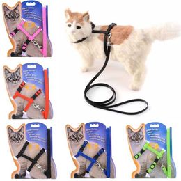 Dog Collars Leashes Cat Collar Harness Leash Adjustable Traction Rope Escape Proof Rabbit Kitten for Walking Small Pet Lightweight Z0609