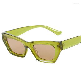 Sunglasses Ins Fashion Cat Eye Women Jelly Color Shades UV400 Trending Men Vintage Orange Green Sun Glasses