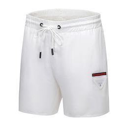 Pradity Shorts Designer Mens Triangle Label Print Beach Pants Short Pant Fashion Casual Cotton Striped Mesh Swimming Trunks Breeches