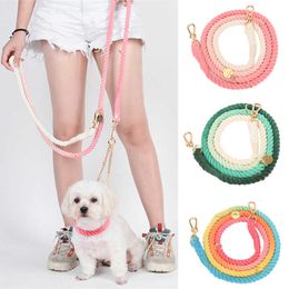 Dog Collars Leashes 210 CM Multifunction Leash Fashion Colourful Pet Collar and for Small Medium Dogs Puppy Outdoor Supplies Z0609