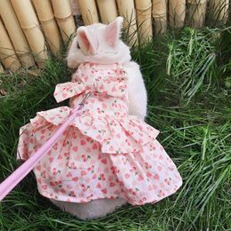 Dog Collars Leashes Pet Dress Lovely Adjustable Traction Rope Floral Pattern Rabbit Bunny Princess for Summer Z0609