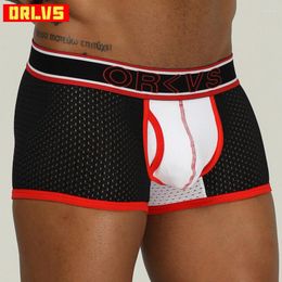 Underpants Male Underwear Sexy Gay Boxer Cueca Tanga Calzoncillo Men Para Hombre Interior Shorts Mesh OR201
