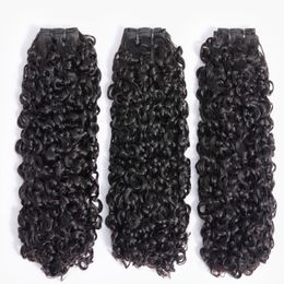 Hair Bulks 12A Small Spirals Curly Bundles Brazilian Unprocessed Kinky Human Pixie Curls Weave Only Extension 3B 3C 230609