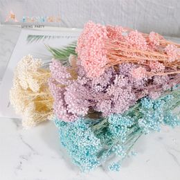 Decorative Flowers 50/80g Natural Rice Flower Bouquet Garden Wedding Decoration Real Millet Dried Table Vase Home Decor Pography Props