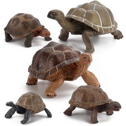 Simulated Wild Animal Turtle Model Turtle Set Decoration 1224452