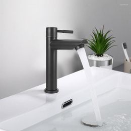 Bathroom Sink Faucets Household Stainless Steel Black Basin Faucet Single Cold Water Tap Male Thread G1/2in Widen Waterfall Type