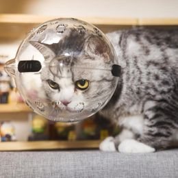 Portadores de gatos Focinheiras de gatos Capacetes transparentes Capuz respirável Anti-mordida Máscara de cuidados para animais de estimação Corte de unhas Adequado para cães pequenos