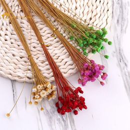 Decorative Flowers 50/100Pcs Dried Natural Happy Flower Wedding Decoration Table And Room Accessories Preserved Bohemian Chic