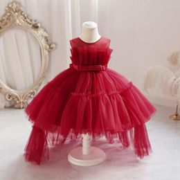 Girl Dresses Baby Girls Tulle Dress Princess Trailing Fluffy Wedding Party Ball Gown Children Ceremony Clothing Kids Holiday Graduation Fall