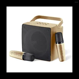 Microphones With 2 Wireless Echoes And LED Lights For Christmas Birthday Gift Home Party Gold