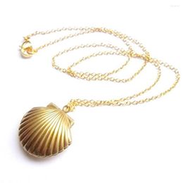 Chains Necklace Pack For Women Seashell Locket Pendant Gold Brass Sea M Heart Shell Pendent