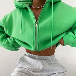 Women's Hoodies Autumn And Winter Women's Green Long-sleeved Metal Zipper Cardigan Hooded Sweater Coat Loose Oversized Crop Top Short
