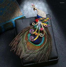 Brooches Vintage Enamel Rhinestone Tassel Peacock Feather Brooch For Women Color Animal Wedding Party Clothing Jewelry Gift