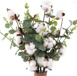 Decorative Flowers Naturally Dried Cotton Artificial Eucalyptus Floral Branch Wedding Party Decoration Home Fake Plant Decor