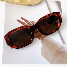 Sunglasses 2023 Top Quality Retro Leopard Print Brown Plate Design Fashion Trend Korean Version Of The Sun Glasses