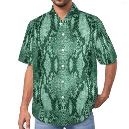 Camicie casual da uomo Camicette con stampa di pelle di serpente Uomo Verde chiaro Animale Hawaii Manica corta Grafica Novità Camicia da spiaggia oversize Idea regalo