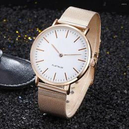 Wristwatches Simple Women Stainless Steel Analogue Quartz Wrist Watch Luxury Geneva Female