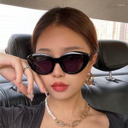 Sunglasses Fashion Cat Eye Women Retro Jelly Colour Shades UV400 Eyewear Men Green Pink Purple Sun Glasses