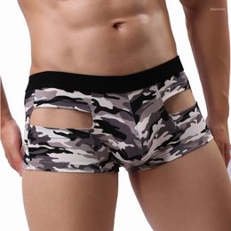 Underpants Cotton Boxers Underwear For Men Sexy Lingerie Mid Waist Men's Hollow Out Panties