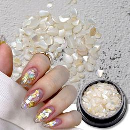 Nail Art Decorations Irregular Shell Charms 3D Sea Abalone Pieces Summer For DIY Supplies