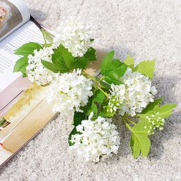 Dried Flowers heads snowball Hydrangea branch white room decor artificial silk flowers with green leaf for home decoration photography