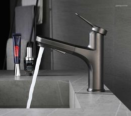 Kitchen Faucets Design Brass Bathroom Sink Faucet Pull Out Basin Mixer Tap Single Handle Cold Water Copper Gun Gray