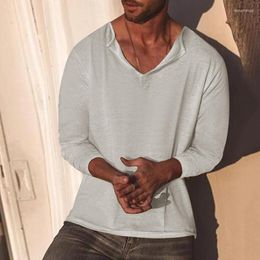Men's T Shirts 2023 Spring Summer Leisure Mens Cotton Linen Tops Loose Long Sleeve V Neck Pullovers Vintage Style Men Casual Pure Color