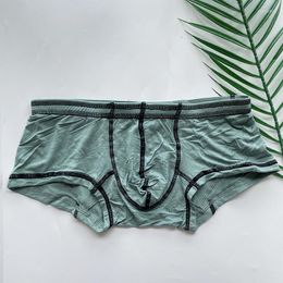 Underpants Modal Soft Male Panties Knickers Ultra Thin Men's Boxer Shorts Sexy Underwear Breathable Jockstrap