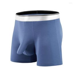 Underpants Men Modal Underwear Youth Soft Breathable Boxer Shorts Pants Large Sports Gun Separation Lingerie Elephant Nose