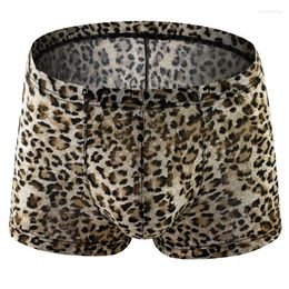 Underpants 4 Colour Animal Print Style Big Men Cock Pouch Sexy Lingerie Boxer Underwear Male Adult Panites