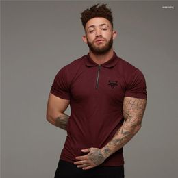 Men's Polos Men's Brand Cotton Polo Shirt Men Summer Breathable Casual Fashion Short Sleeve Gym Fitness Absorb Sweat Show Muscle Slim