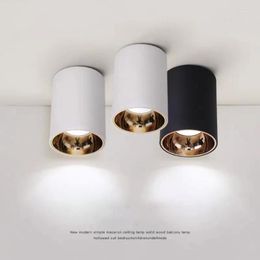 Ceiling Lights Cylinder Rose Gold Dimmable LED Spotlight Downlight 5W 10W 15W 20W 30W Lamp For Livingroom Kitchen Bedroom Foyer Office
