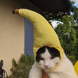 Cat Costumes Funny Creative Pet Dog Cap Costume Banana Hat Years Party Christmas Cosplay Props Po Hats Supplies Tools