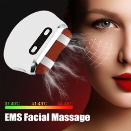 Face Massager EMS Lifting Guasha Bianstone Gua Sha Scraping Board Microcurrent Heating Vibration Massage V Slimming 230612