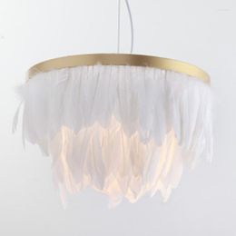 Pendant Lamps Nordic Chandelier Modern Minimalist Living Room Warm Romantic Light Luxury LED Children's Ins Net Red Bedroom Feather