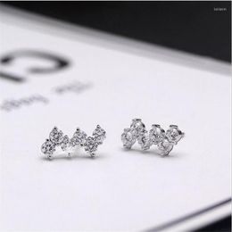Stud Earrings Beautiful Exquisite Wavy Silver Plated Jewellery Geometric Flash Crystal Temperament Women SE926