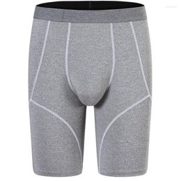 Underpants Men Underwear Boxers Shorts Hombre Comfortable High Waist Panties Man U Convex Pouch Long Leg Cueca Calzoncillo M-XXL