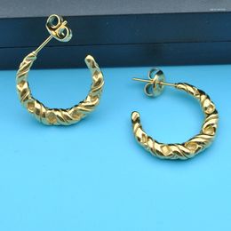 Hoop Earrings Fashionable Minimalist Geometric Titanium Steel Gold-plated Exquisite Fried Dough Twists Accessories