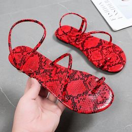 Sandals 2023 Sexy Fashion Flat Low Heel Round Toe Open Covering Solid Colour Ankle-Strap Buckle Women's
