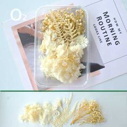 Dried Flowers 1Box White for DIY Aromatherapy Candle Making Epoxy Resin Mold Jewelry Accessories Wedding Bouquet Home Decoration