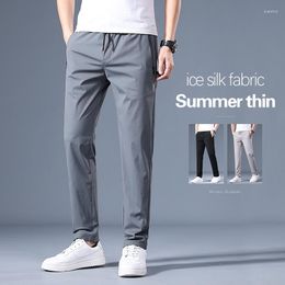 Men's Pants 2023 Summer Soft Ice Silk Fabric Men's Thin Casual Korean-style Fashion Techwear Straight High Stretch Trousers Male Brand